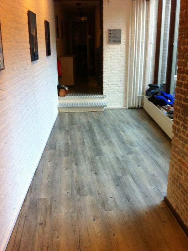 Project Zomerschoe