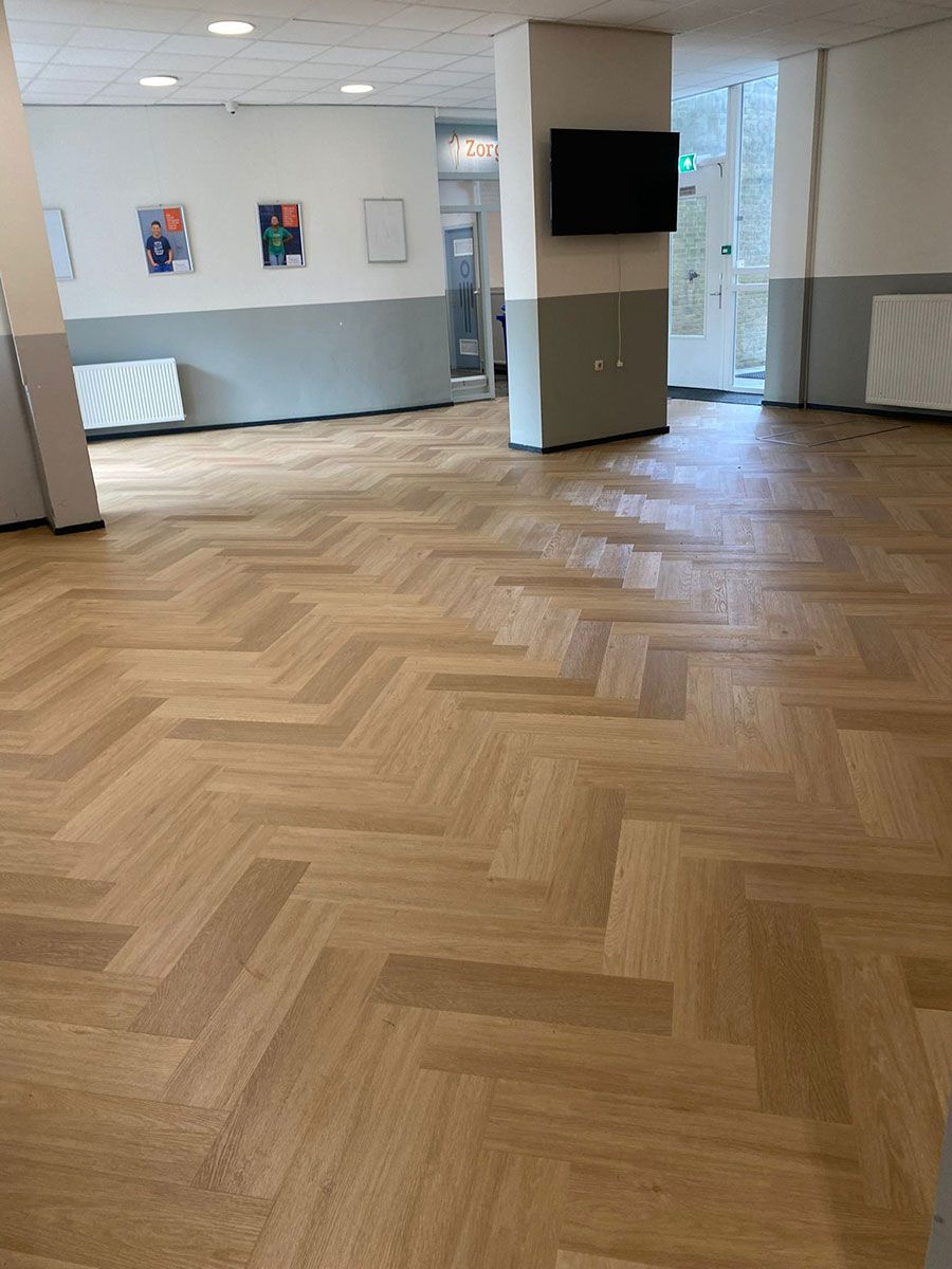 Project Zomerschoe